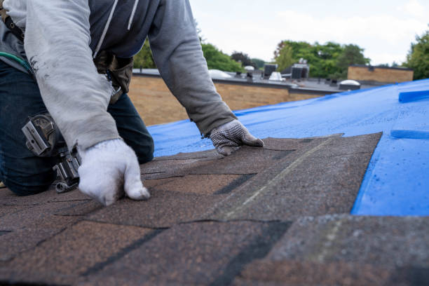 Best Flat Roof Repair Services  in Wlowbrook, IL