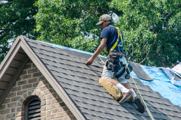 Best Sealant for Roof  in Wlowbrook, IL