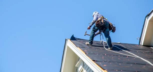 Roof Gutter Cleaning